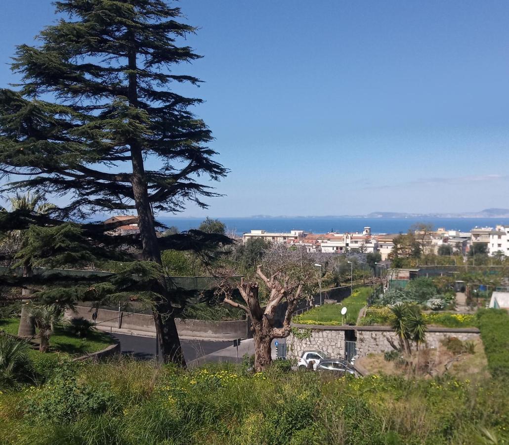 皮雅诺迪索伦托Il Platano住宿加早餐旅馆 外观 照片